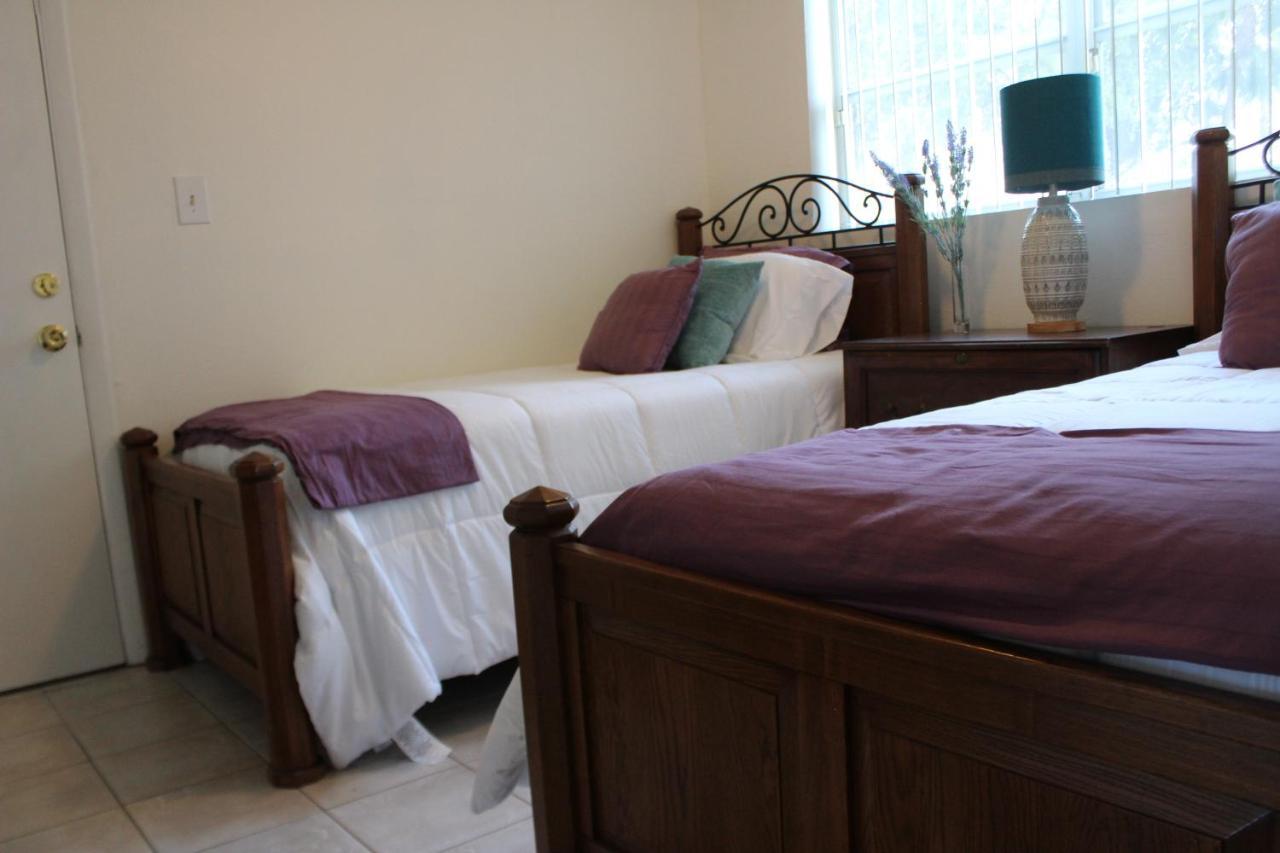Traditional Cozy Historic Tampa Home Esterno foto
